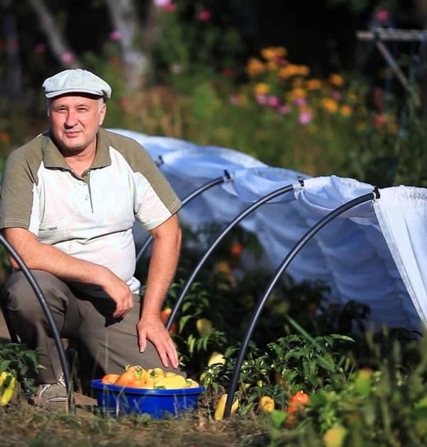 Захист від нічних осінніх заморозків
